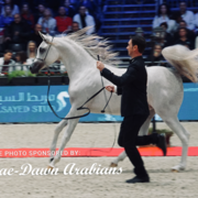 Paris World Championship 2018