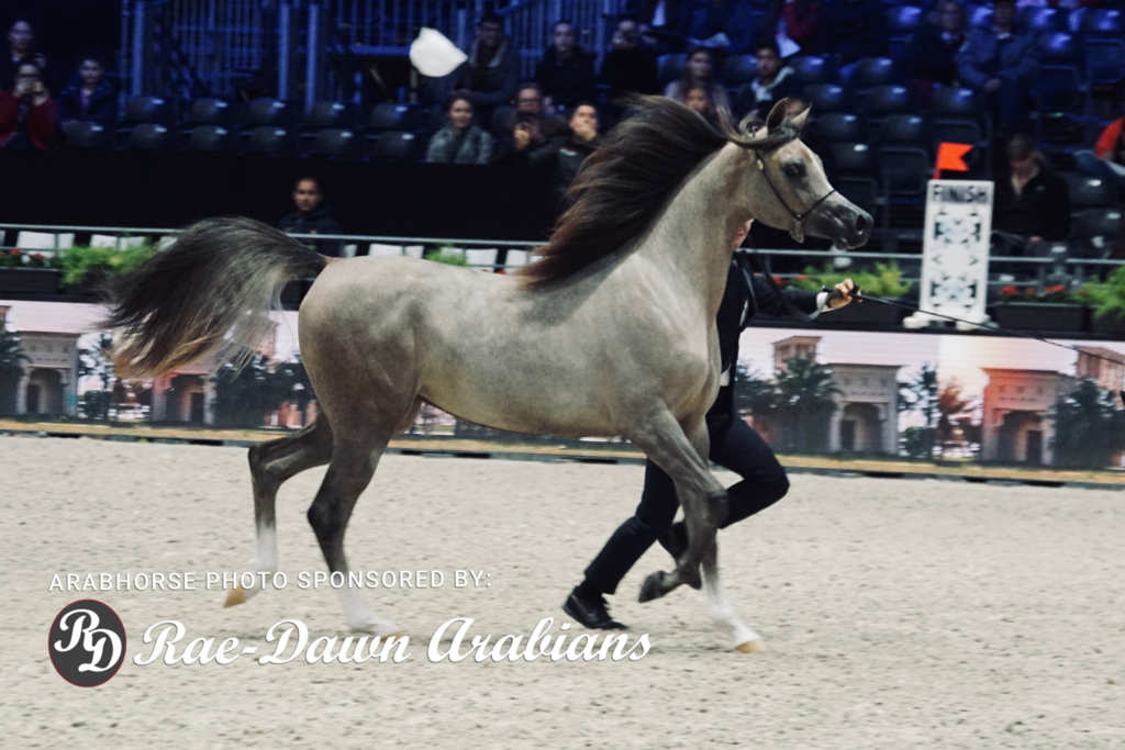 Paris World Championship 2018