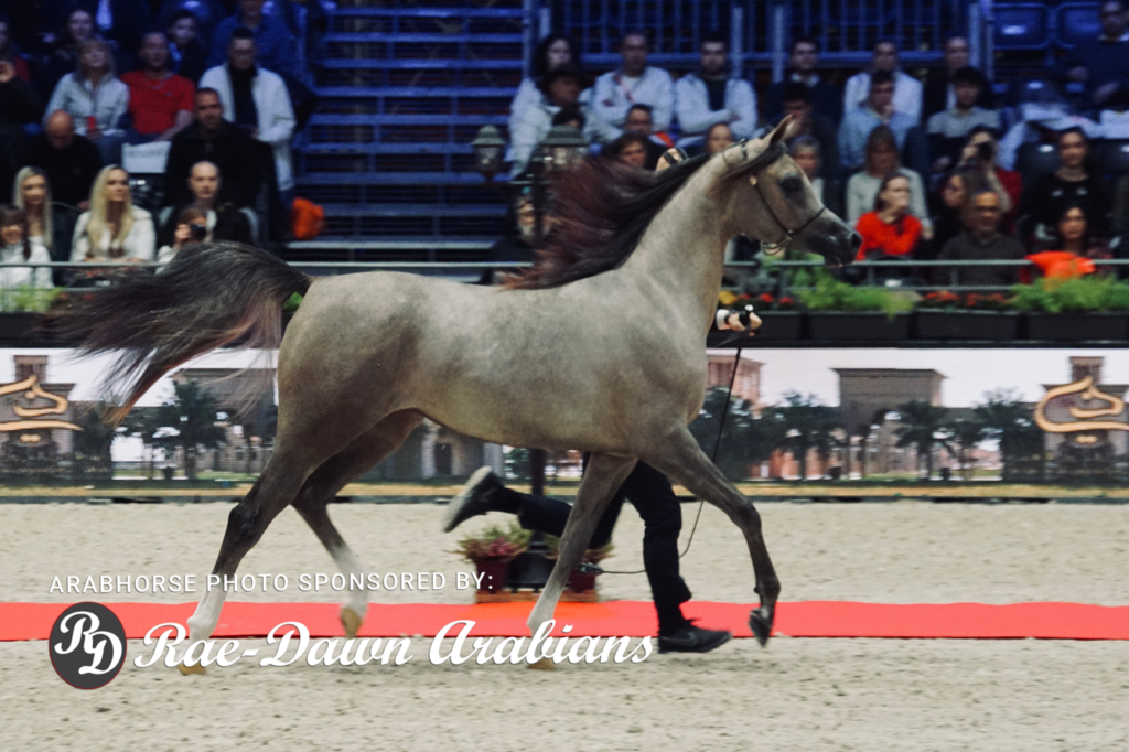 Paris World Championship 2018