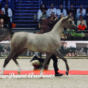 Paris World Championship 2018