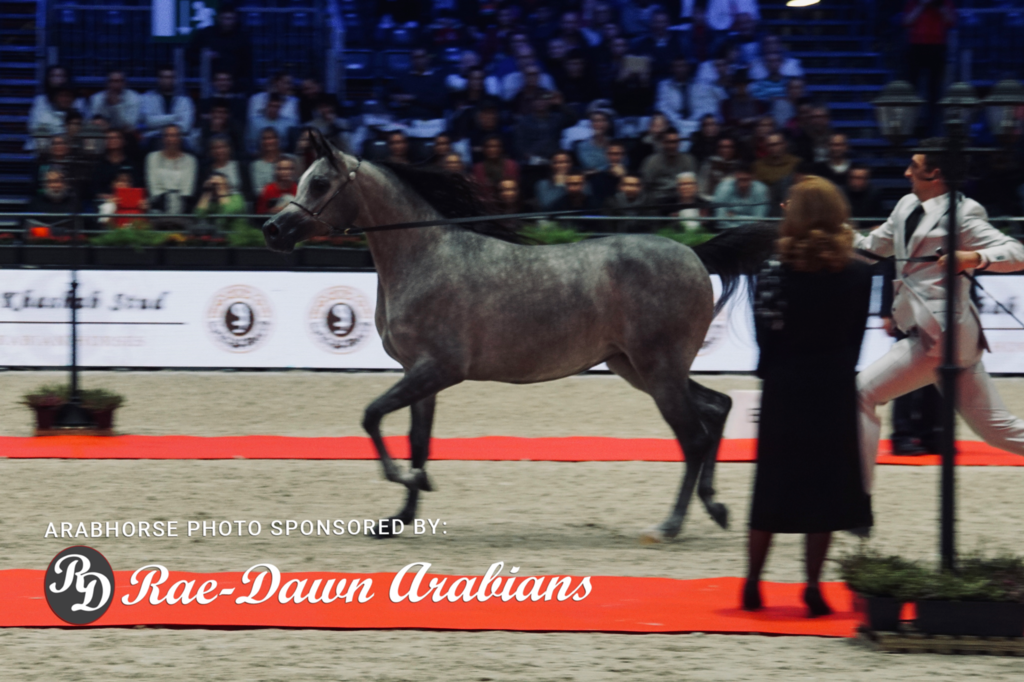 Paris World Championship 2018