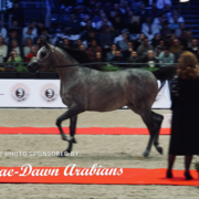 Paris World Championship 2018