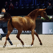 Paris World Championship 2018