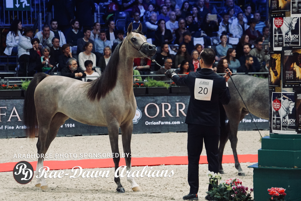 Paris World Championship 2018