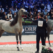 Paris World Championship 2018