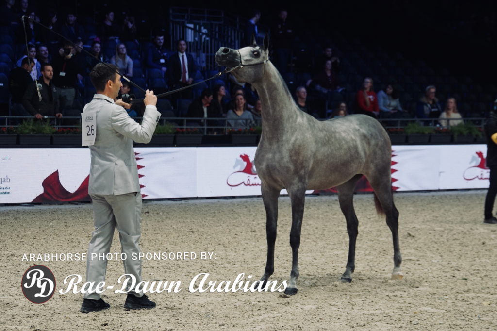 Paris World Championship 2018