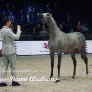 Paris World Championship 2018