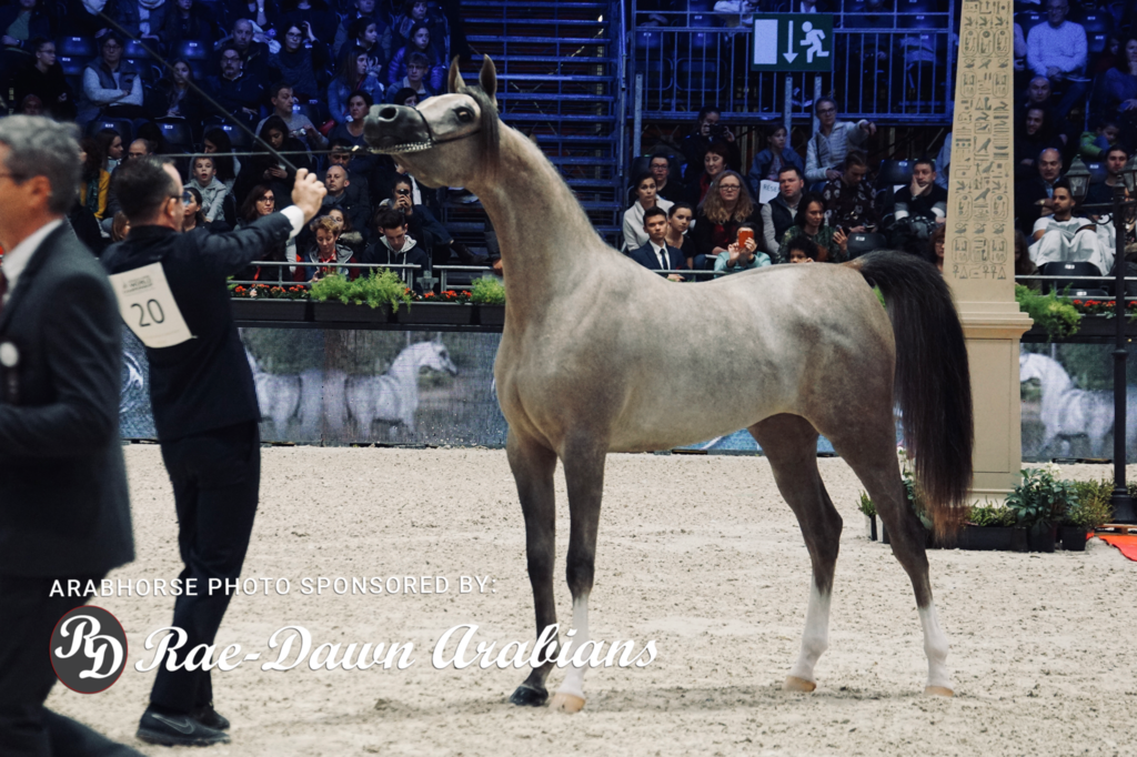 Paris World Championship 2018