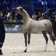 Paris World Championship 2018