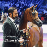 Paris World Championship 2018