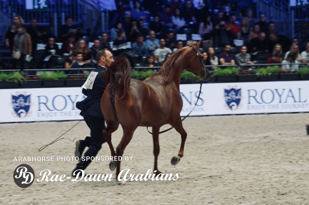 Paris World Championship 2018