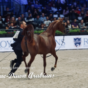 Paris World Championship 2018