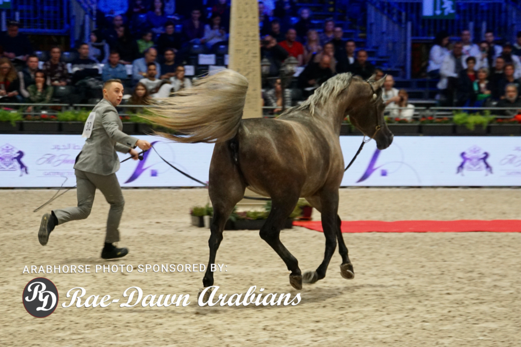 Paris World Championship 2018