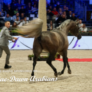 Paris World Championship 2018