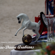 Paris World Championship 2018