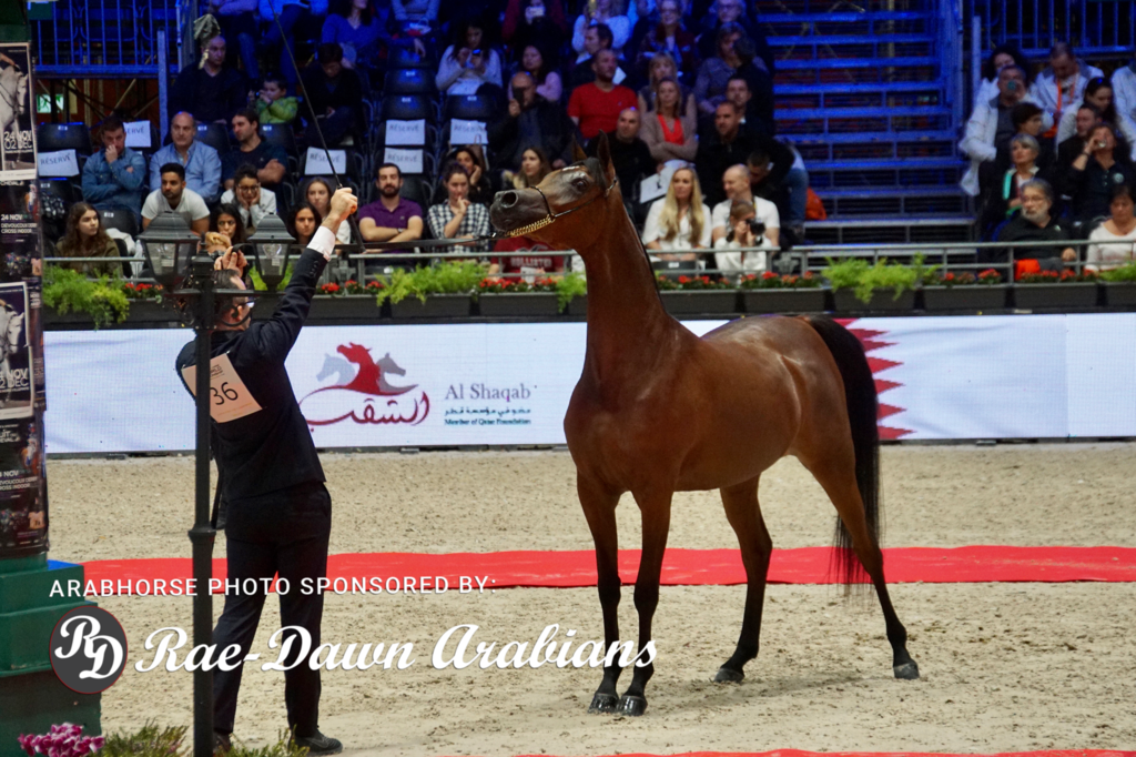 Paris World Championship 2018