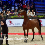 Paris World Championship 2018