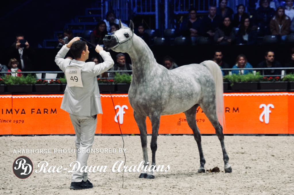 Paris World Championship 2018