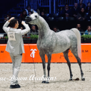 Paris World Championship 2018