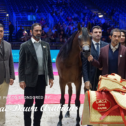 Paris World Championship 2018