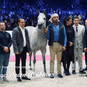 Paris World Championship 2018