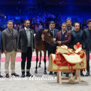 Paris World Championship 2018