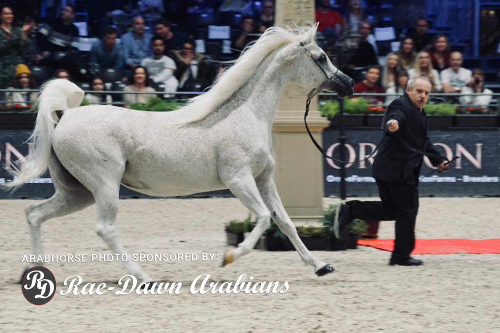 Paris World Championship 2018