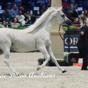 Paris World Championship 2018