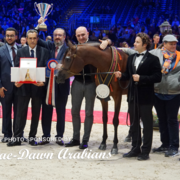 Paris World Championship 2018