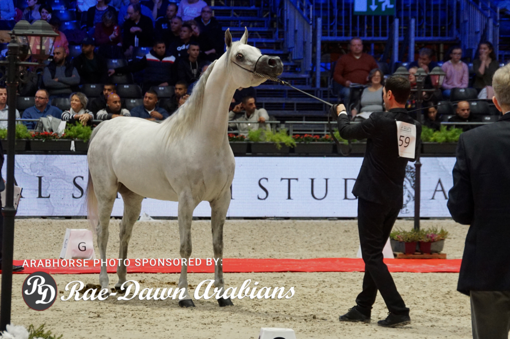 Paris World Championship 2018