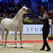 Paris World Championship 2018