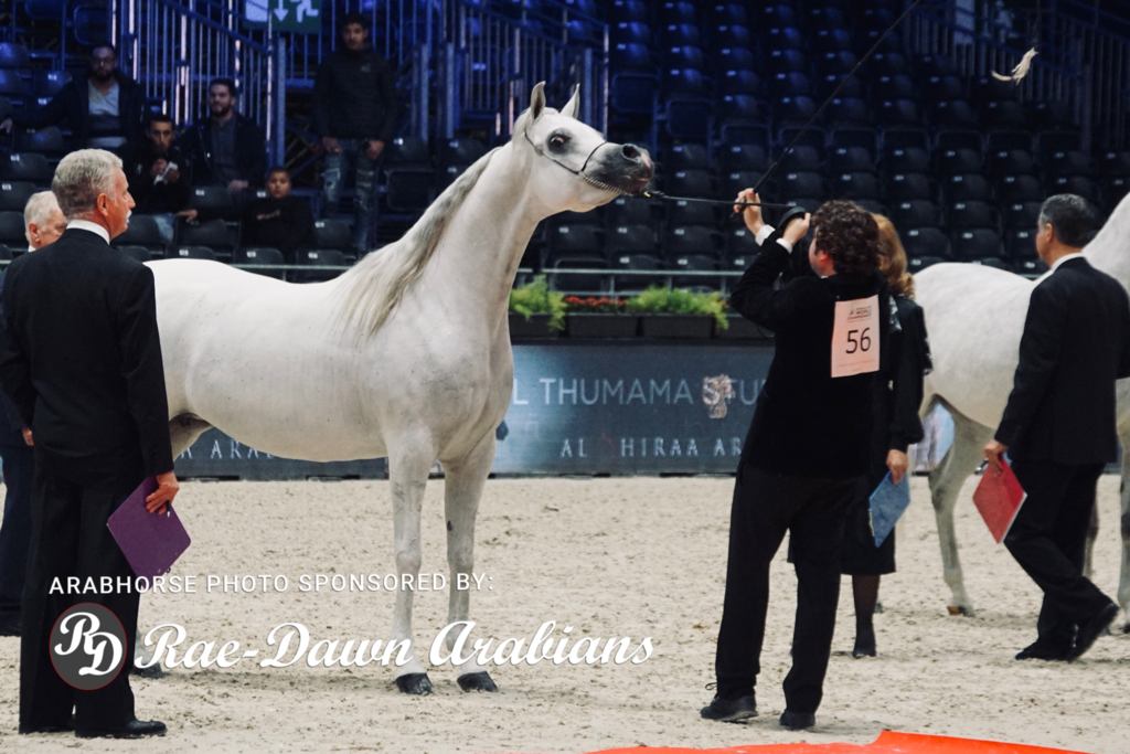 Paris World Championship 2018