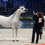 Paris World Championship 2018