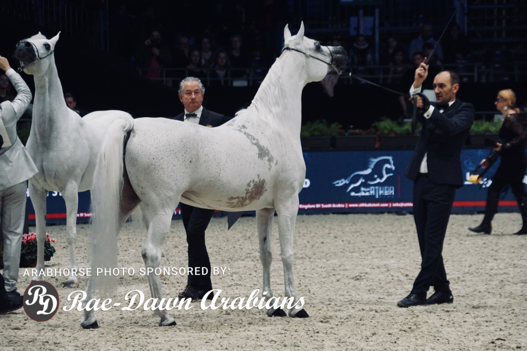 Paris World Championship 2018