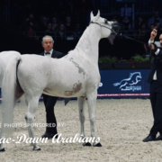 Paris World Championship 2018