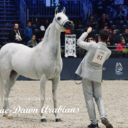 Paris World Championship 2018