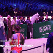 Paris World Championship 2018