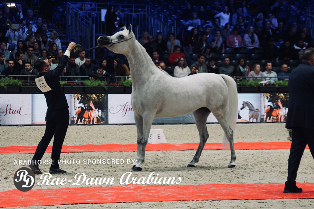 Paris World Championship 2018