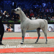 Paris World Championship 2018