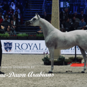 Paris World Championship 2018