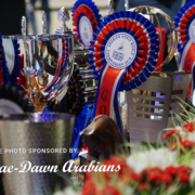 Paris World Championship 2018