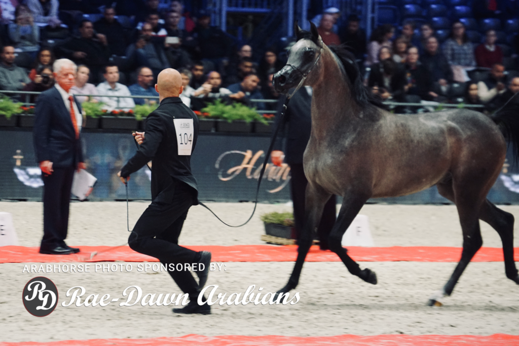 Paris World Championship 2018