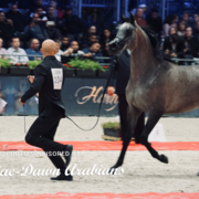 Paris World Championship 2018