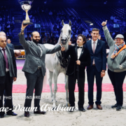 Paris World Championship 2018