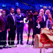 Paris World Championship 2018