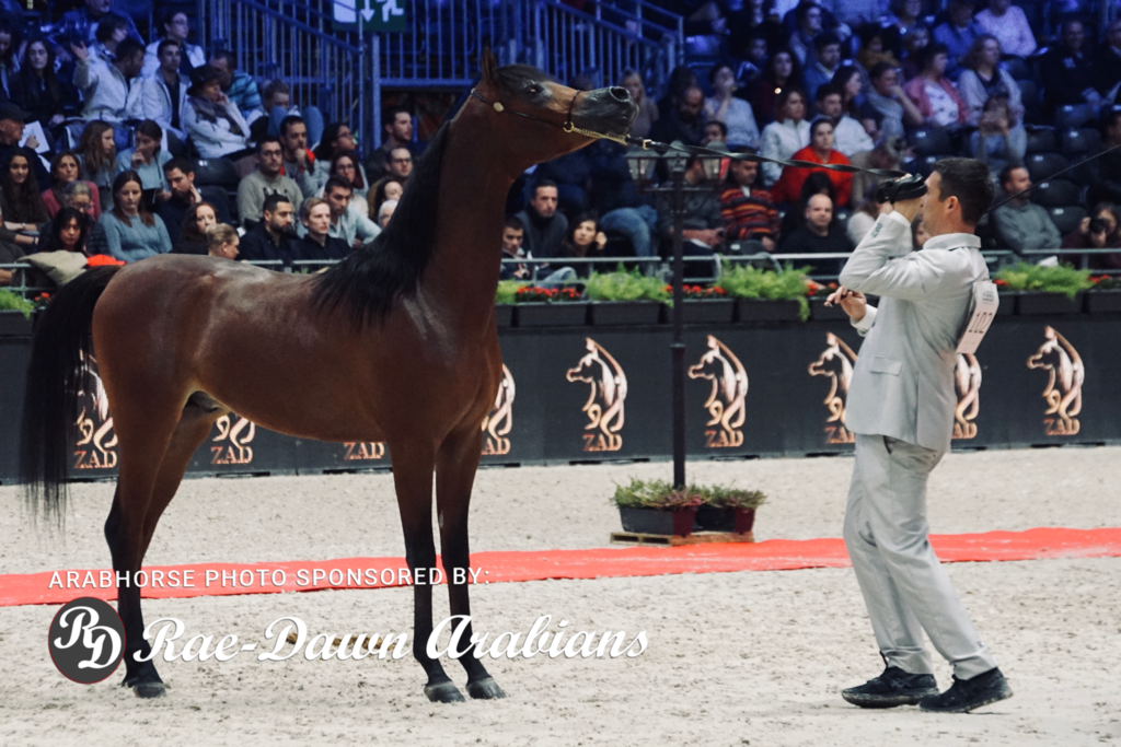 Paris World Championship 2018