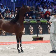 Paris World Championship 2018