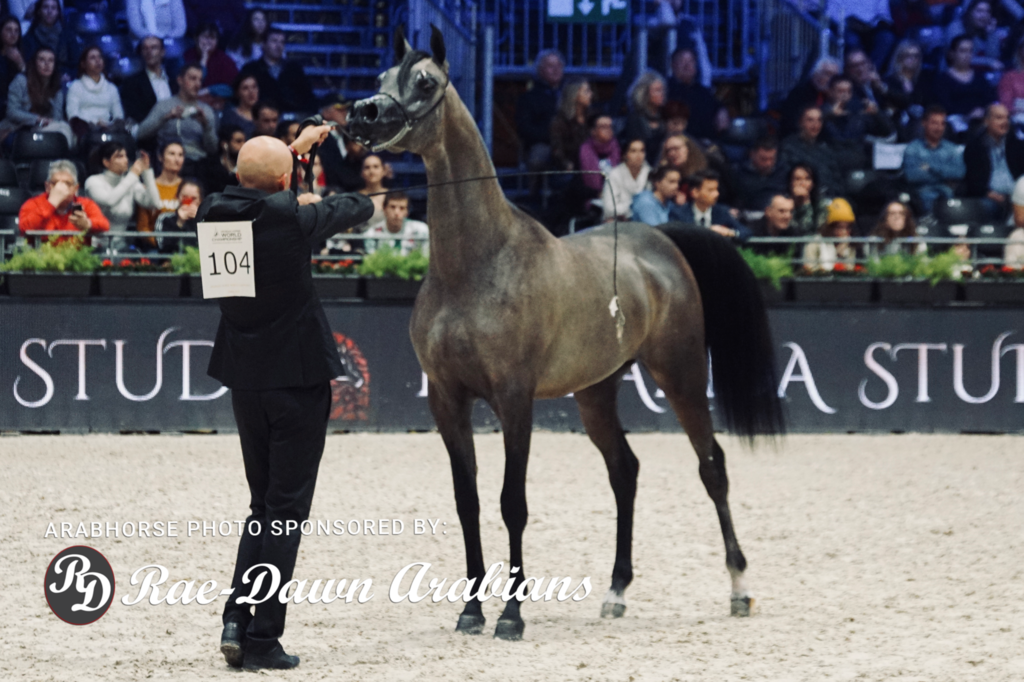 Paris World Championship 2018