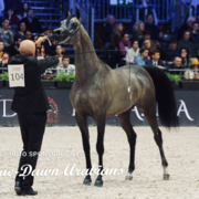 Paris World Championship 2018