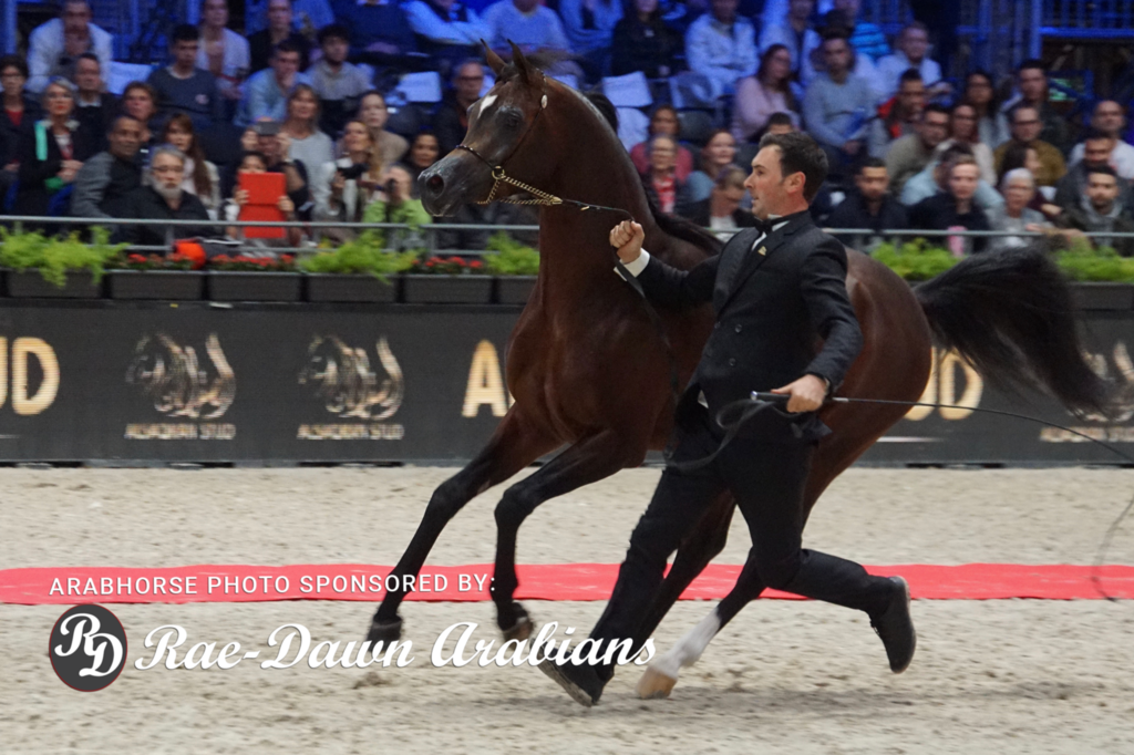 Paris World Championship 2018